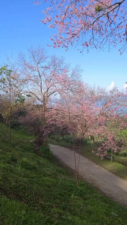 Ban Chomdoi Resort Phatang Ban Pha Tang エクステリア 写真